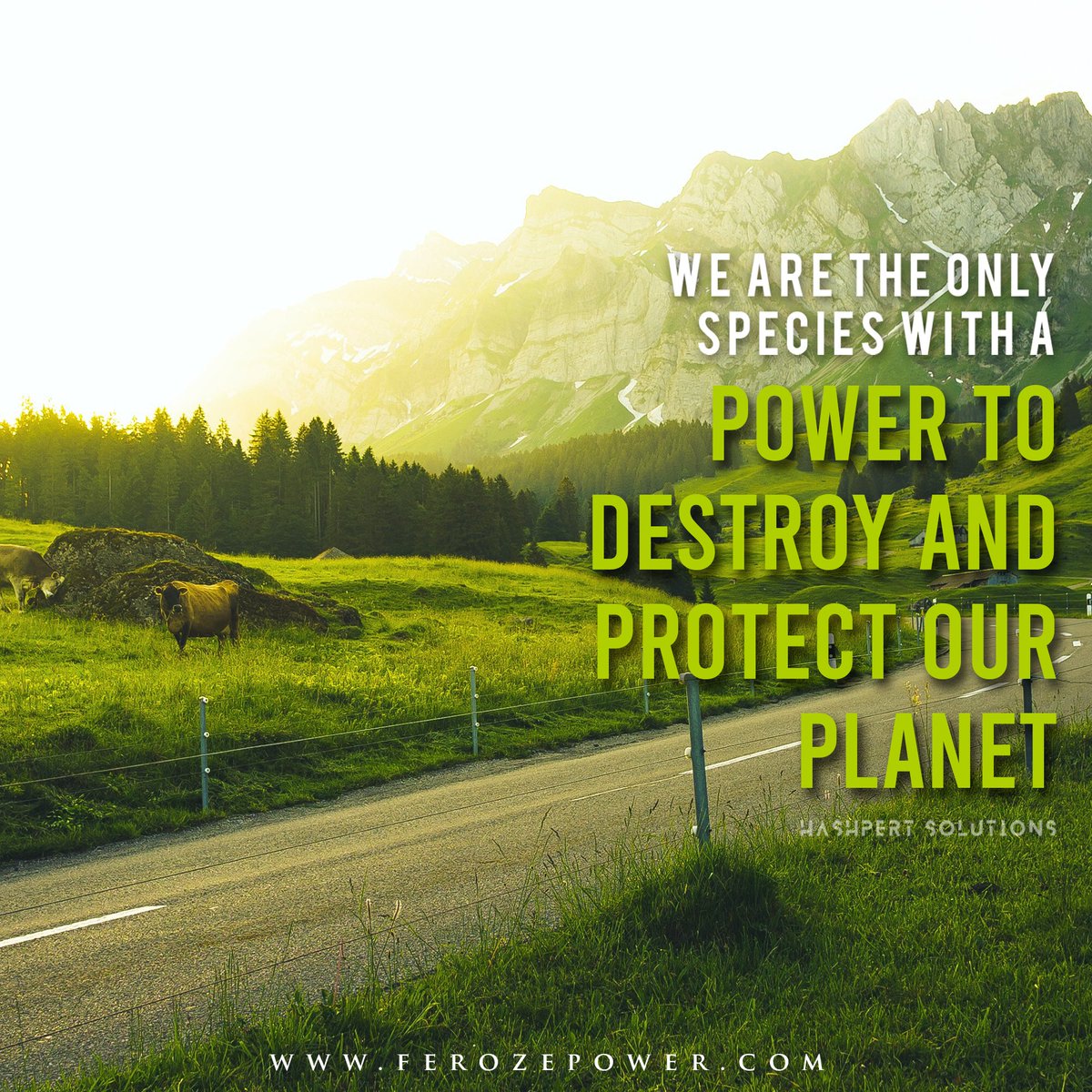 Hashpert's tweet image. Social media designs that hit different.
Clean, attractive, aesthetic, we create it all.

For more info visit our site hashpertsolutions.com

#HashpertSolutions #GraphicDesign #SocialMediaDesign #Advertising #MediaAgency #DigitalMarketing #InstagramAds #FacebookAds #YoutubeAds