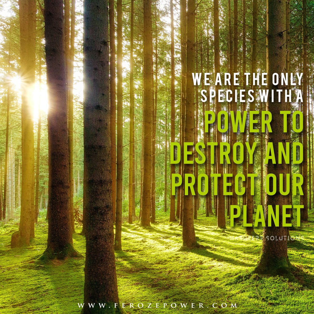 Hashpert's tweet image. Social media designs that hit different.
Clean, attractive, aesthetic, we create it all.

For more info visit our site hashpertsolutions.com

#HashpertSolutions #GraphicDesign #SocialMediaDesign #Advertising #MediaAgency #DigitalMarketing #InstagramAds #FacebookAds #YoutubeAds