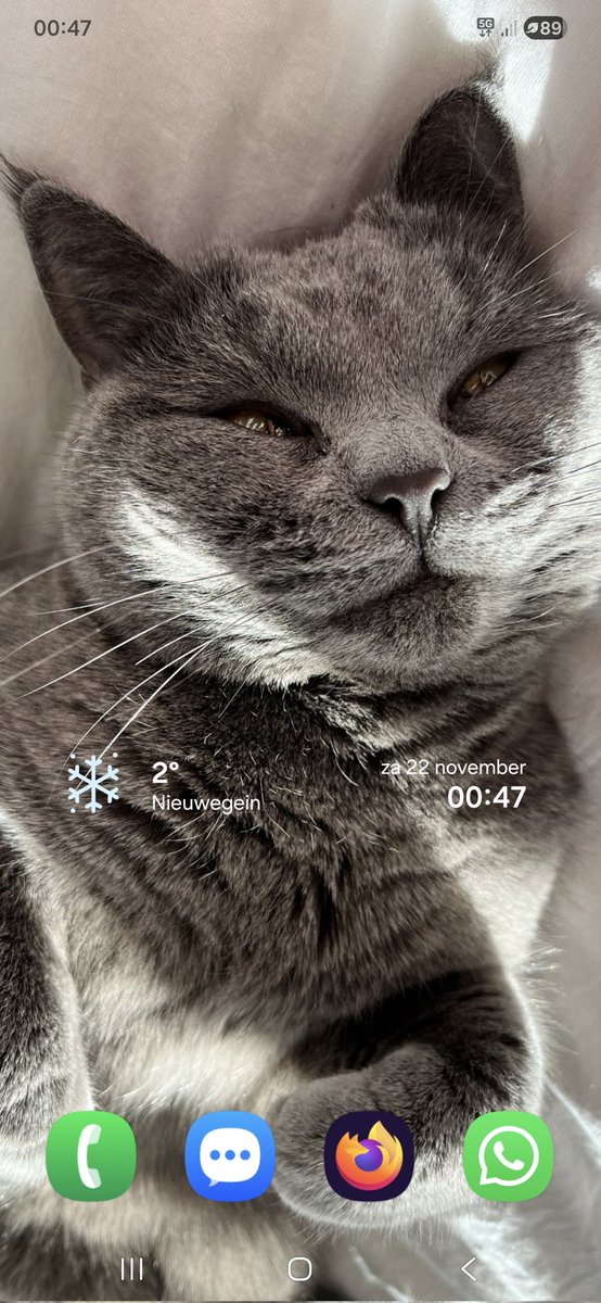 birgit2021's tweet image. Mijn weerapp zegt dat het sneeuwt, ik zie het alleen niet.  🤷‍♀️