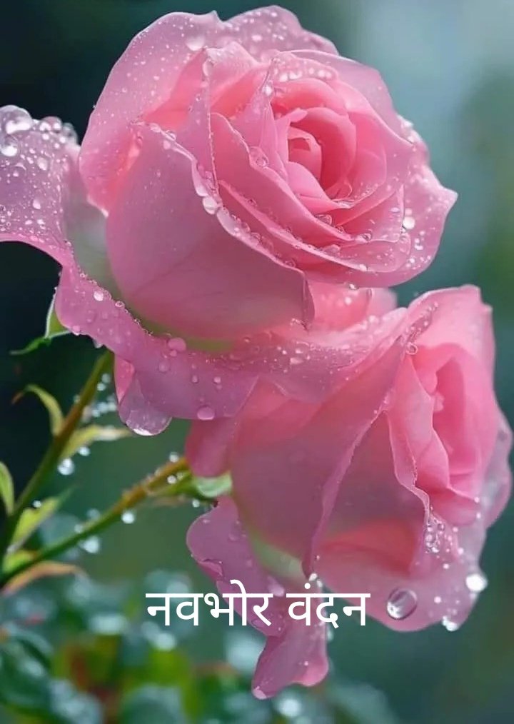 सुख और दुख जिंदगी के दो पहलू होते है।
सुख में बहुत लोग साथ होते है लेकिन दुख आपको स्वयं काटना पड़ता है।
शुभ प्रभात मित्र 
आपका दिन मंगलमय हो