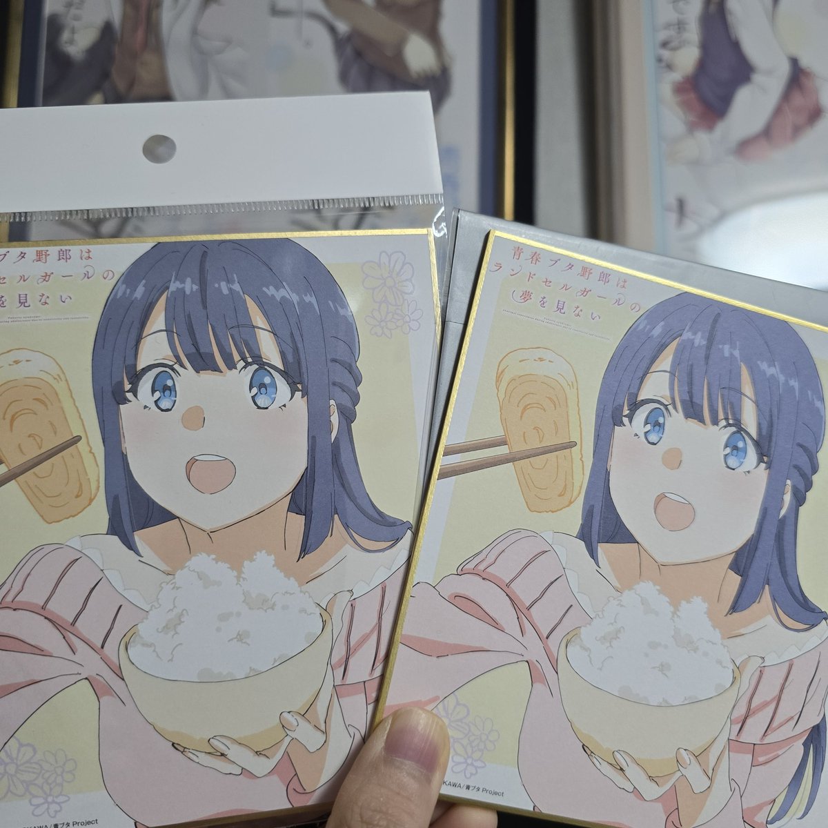 ちなみに買ってました、これで所持2枚 翔子さんだと信じて疑ってません