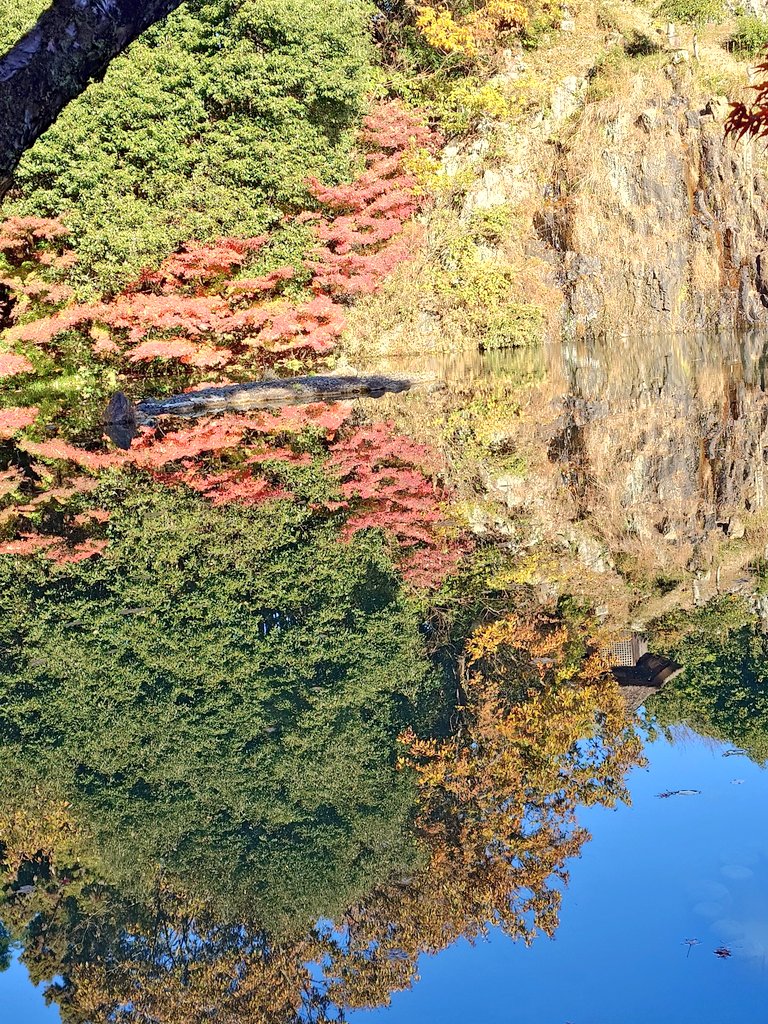 tago184's tweet photo. 1枚目、下3分の2が水面
2枚目、水面しか撮ってないとは思えない

肉眼でも水面に映っているように見えない https://t.co/ZlRroM81Hy