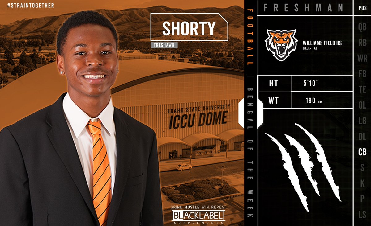 Iron Ambush tweet media