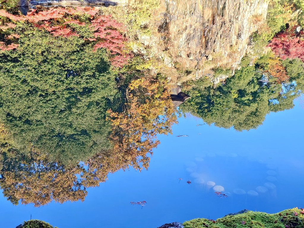 tago184's tweet photo. 1枚目、下3分の2が水面
2枚目、水面しか撮ってないとは思えない

肉眼でも水面に映っているように見えない https://t.co/ZlRroM81Hy
