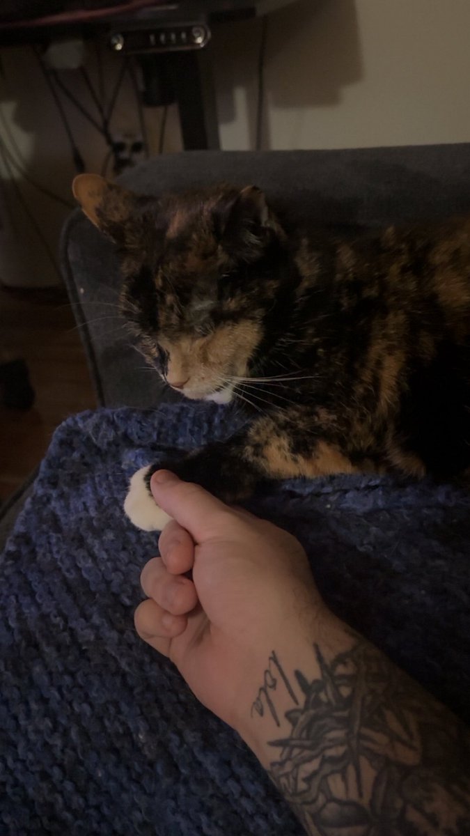 Father/ daughter bonding