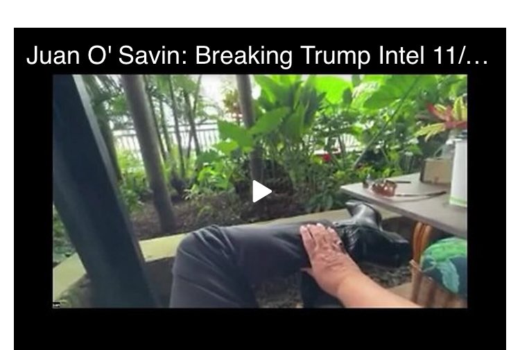 m.beforeitsnews.com/alternative/20…

💥Video in link

Juan O’Savin