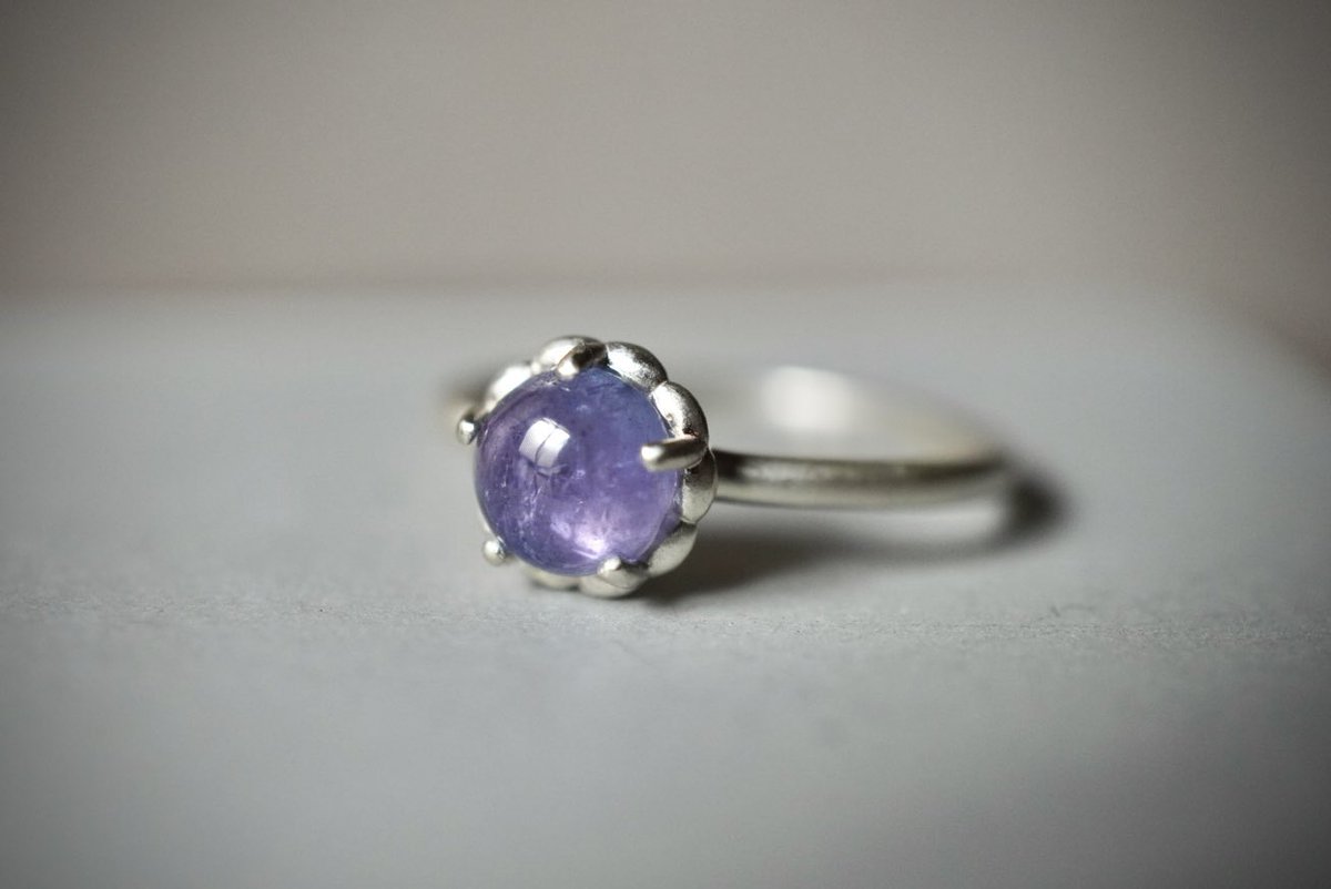 insula international tweet media