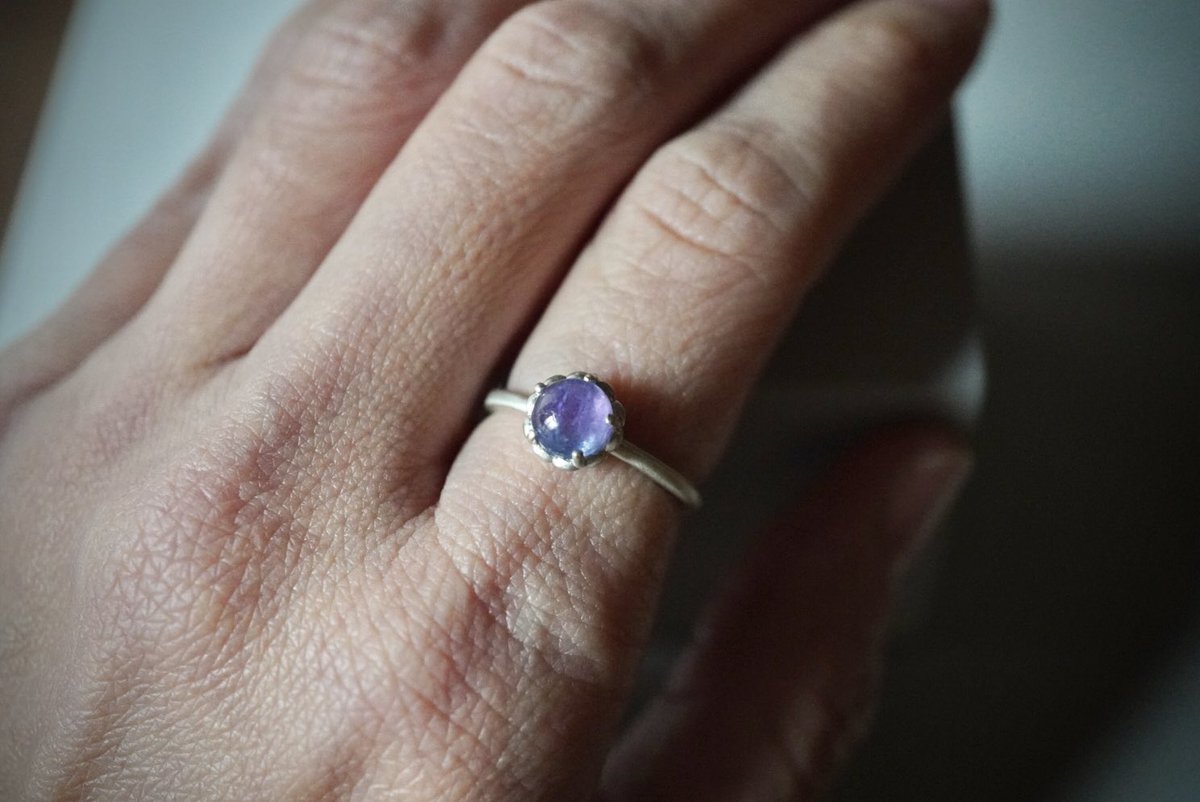 insula international tweet media