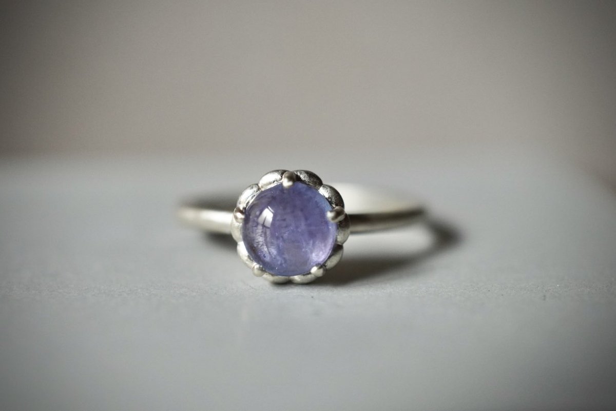 insula international tweet media