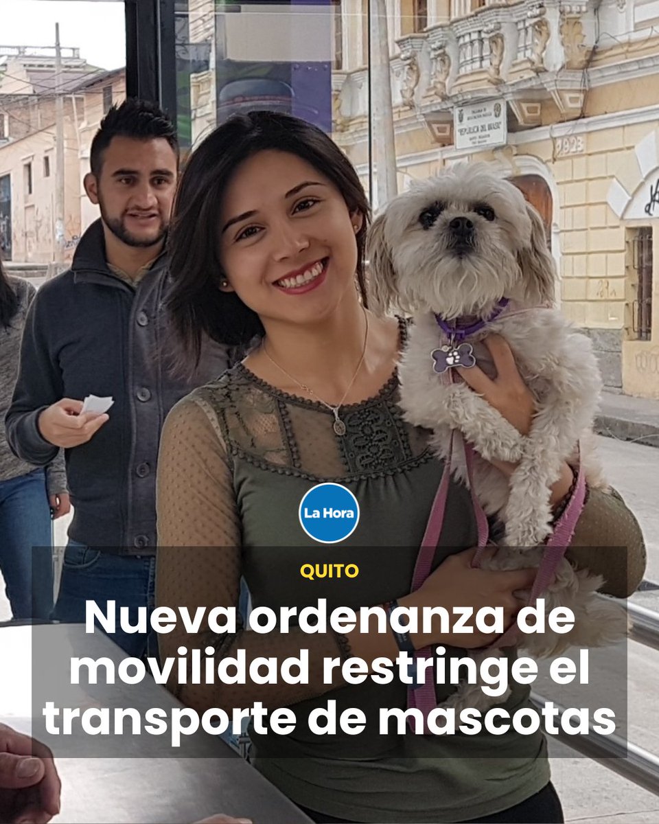 _SuExcelencia's tweet image. Hola @pabelml. Espero que esté más tranquilo después de su pelea con Merino. Ya sabe que siempre le pregunto y hoy no va a ser la excepción: ¿Para cuándo la ordenanza que multe a los agentes de tránsito que no multan o detienen a los motociclistas que van sin placas? Ya es hora.