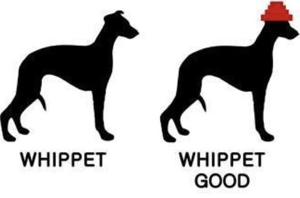 🌜NiteyNight🌛 Resister Sisters and Brothers👍🙏❤️❣️ Joke of The Night For All Resisters ❣️#Resist🔥#VOTEBLUE2025
#TheResistance #RETWEET❤️🇺🇸