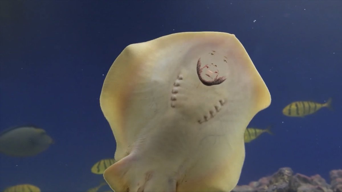 BarstoolBigCat's tweet image. Barstool Sports Advisors Week 12

Live: youtu.be/uZH4JhJ6LTI?si…