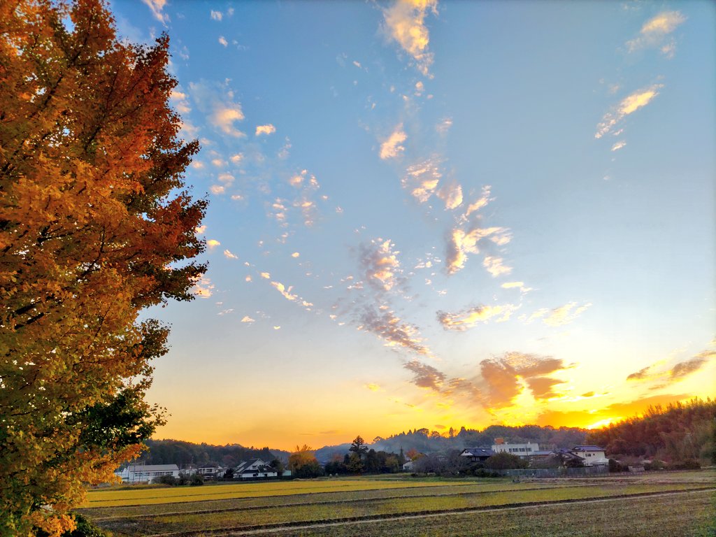 近頃どうにも鬱気味
のんびり起き皆さんのお世話
遅い朝御飯にした後だらだら
気力でぬままSNS眺め昼前

TVerアニメで気を紛らせ午後
ようやく遅い昼御飯と片づけ
ドラマみて一息ついたら
重い腰上げ父の病院へ面会
弱っていく姿見るのは辛いけど
ずっと頑張ってるお父さん凄い

＃夕焼け
＃空が好き