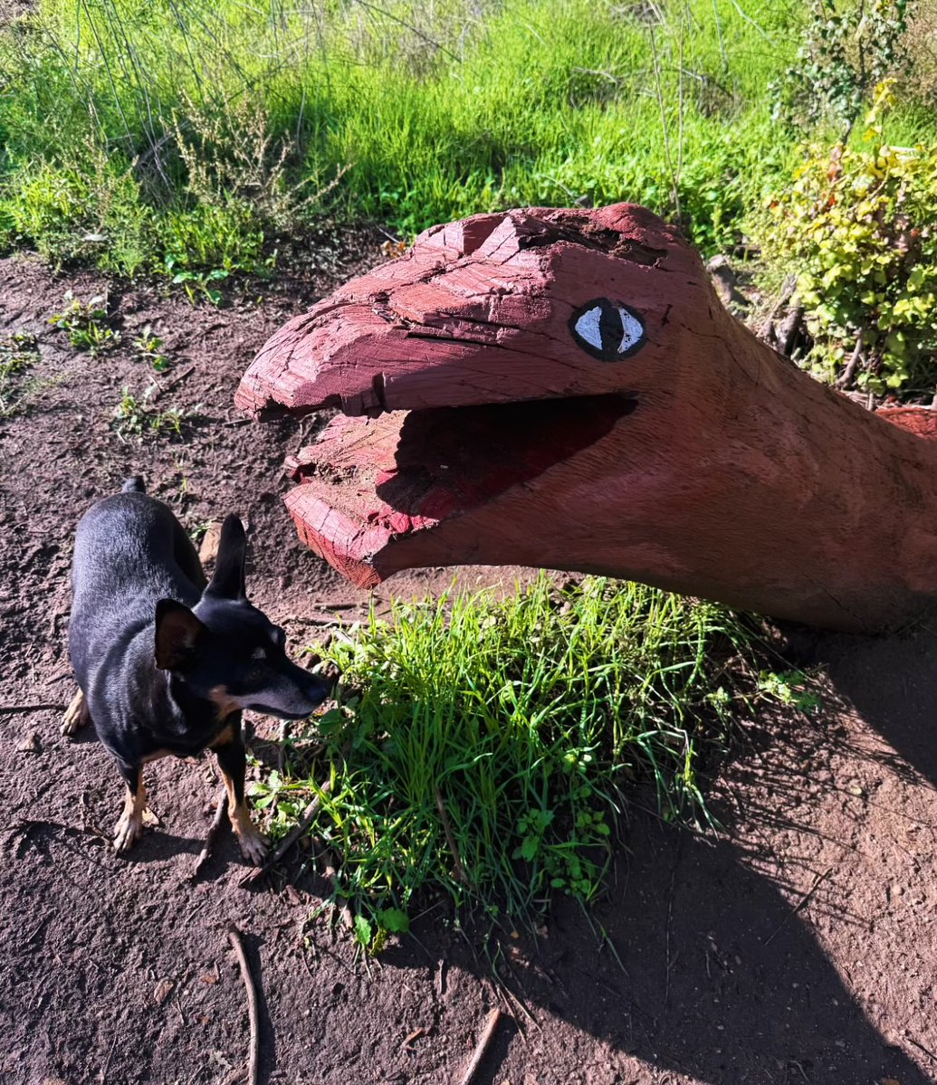 is he bothering you queen