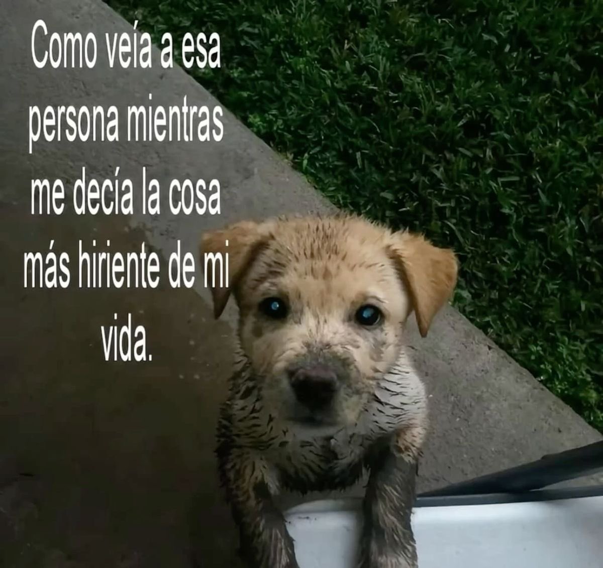 guaddamoyano's tweet photo. https://t.co/DrfPnHep7r