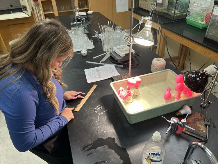 Lab days are the best days! Lauric acid, lactose intolerance, flame tests, and even electron-config Battleship.