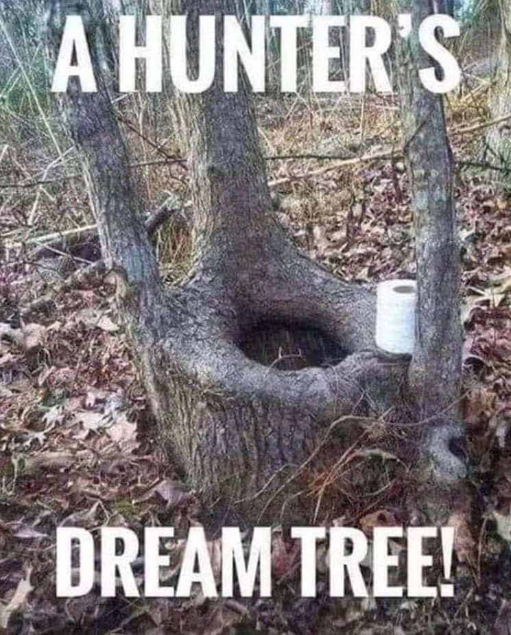 🌜NiteyNight🌛 Resister Sisters and Brothers👍🙏❤️❣️ Joke of The Night For All Resisters ❣️#Resist🔥#VOTEBLUE2025
#TheResistance #RETWEET❤️🇺🇸