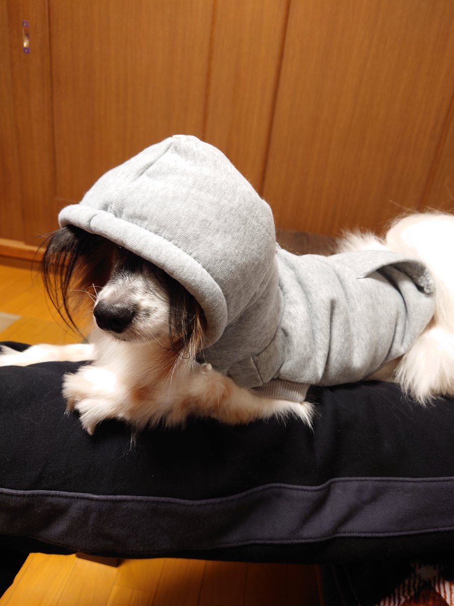 Kenji_6311 (@6311Kenji) / Posts / X