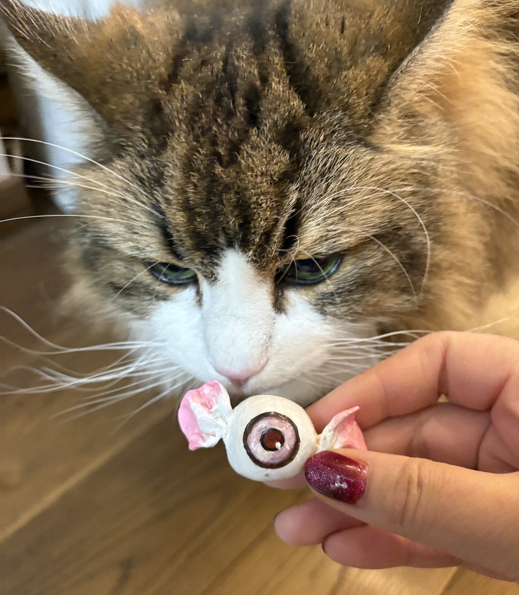 おはようEmily

eriさんのかわいい子
BIGワルミミ🍓ミルクちゃんと
ミミニカクリニックの歯磨き粉ミミちゃん
お披露目です✨
手書きで素晴らしい👏
一刻も早く飾り棚買わないと

#ワルミミ #ミミ