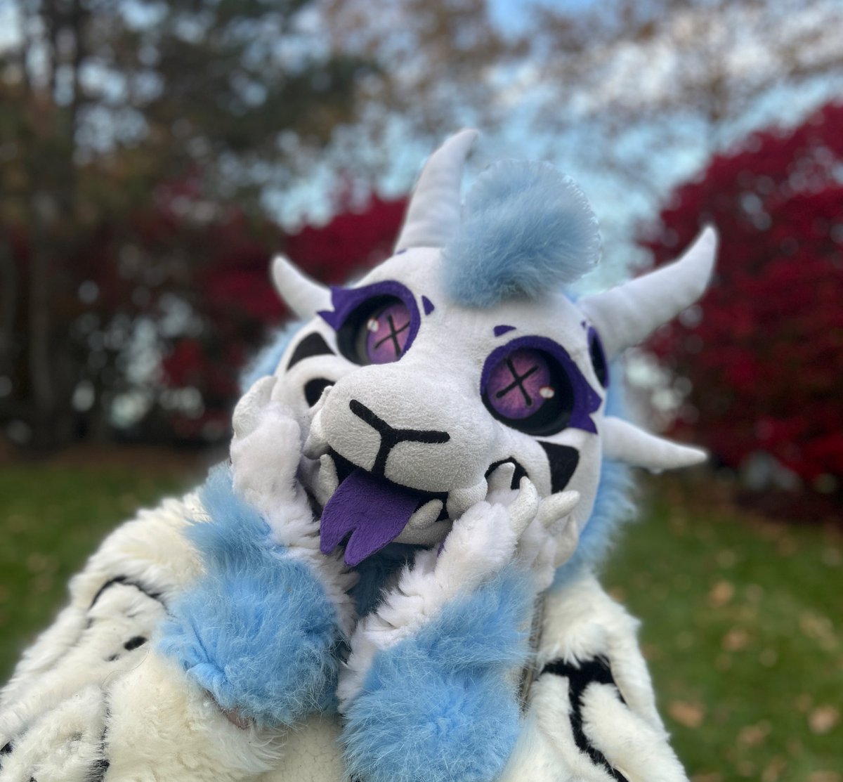 Spectre! 🔜 FWA, AC tweet media