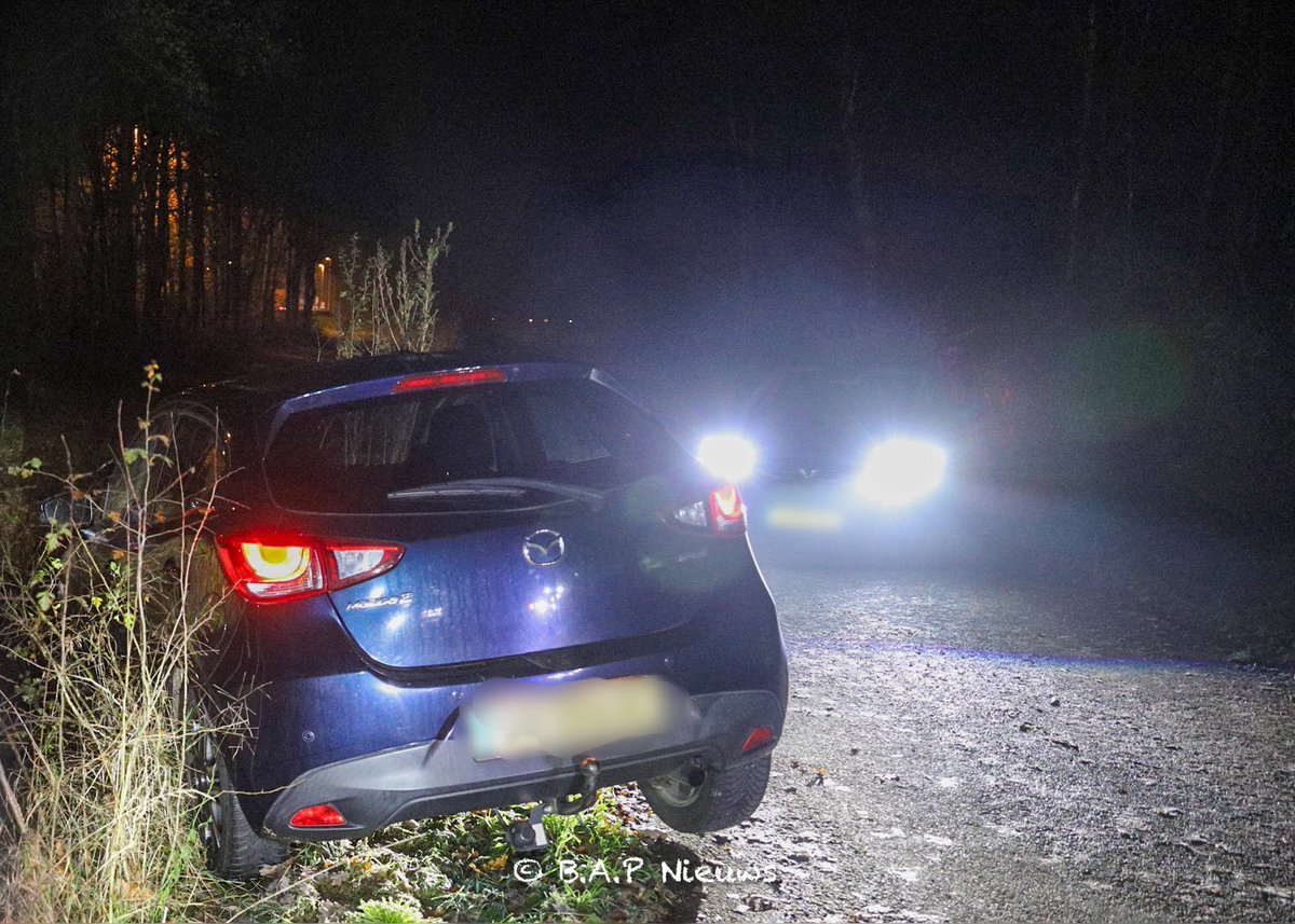 Auto vliegt uit de bocht op de Woudhuizerweg