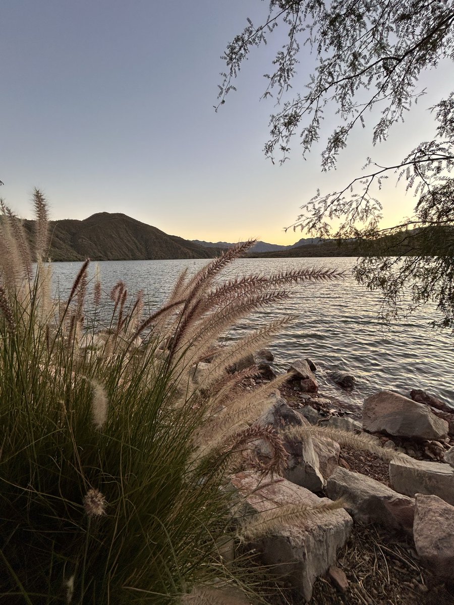 GMyersGoodwin's tweet image. @BobVanDillen A few photos of Apache Lake in AZ. I am late getting these to you.  Hope you are fabulous!! #lakelife #AZ #paddleboarding