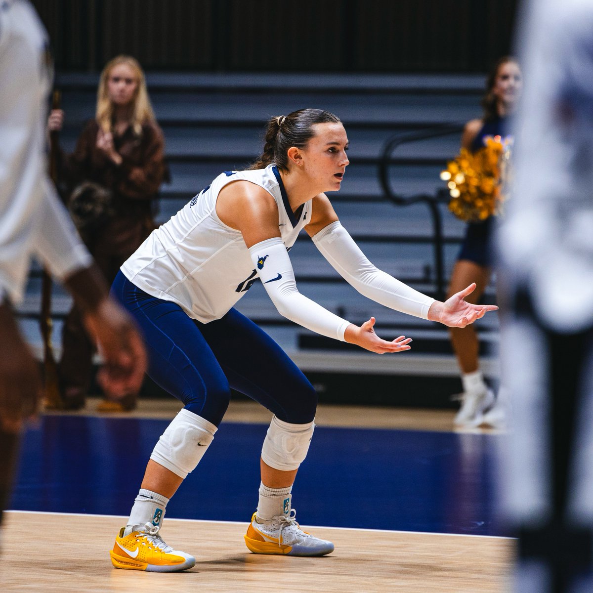 WVUVolleyball's tweet photo. Got a good one brewing inside Hope Coliseum! 🌟

#HailWV https://t.co/VDwzkS3pc1