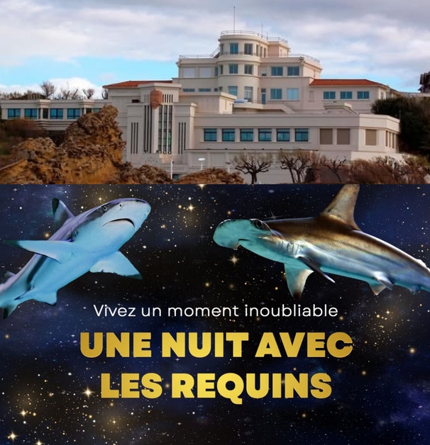 Une nuit avec les Requins : le seul endroit où ronfler devient un sport extrême !
Breaking news : l’Aquarium de Biarritz rouvre les portes de son dortoir… pour visiteurs téméraires !
is.gd/bdpNaj