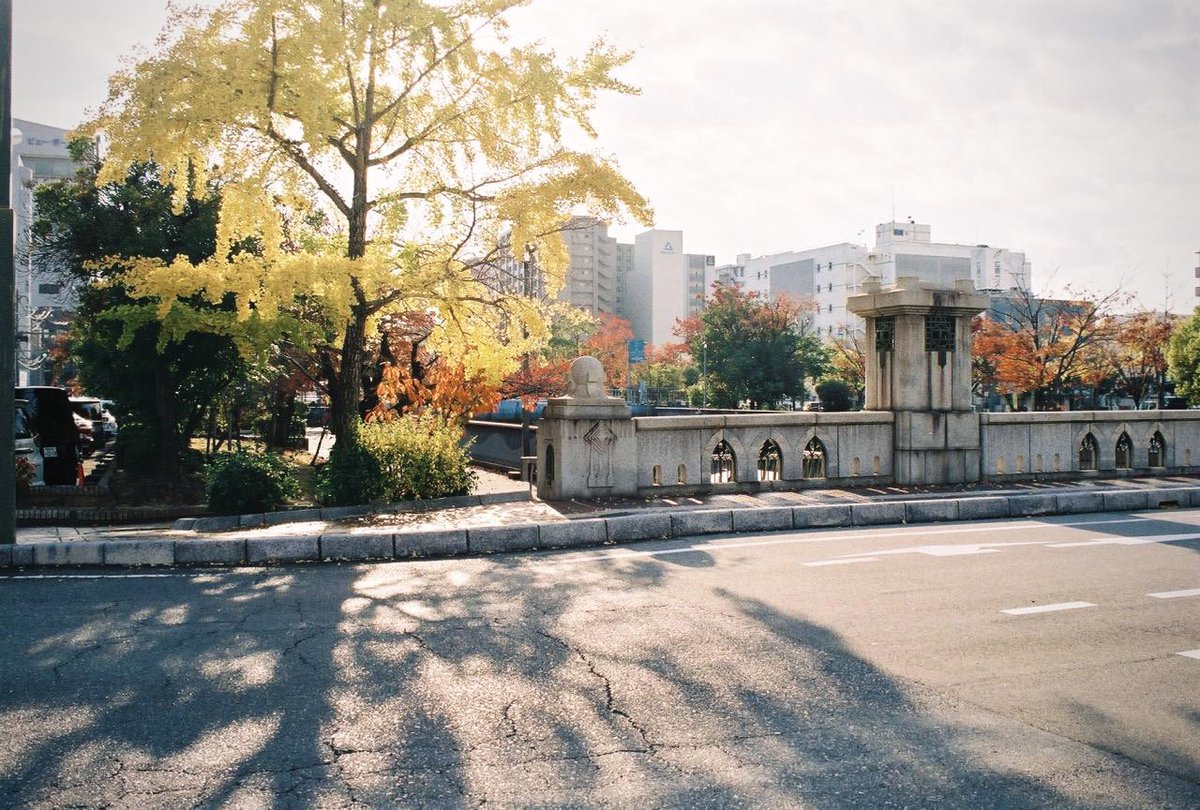 alfi_le's tweet image. 呉市