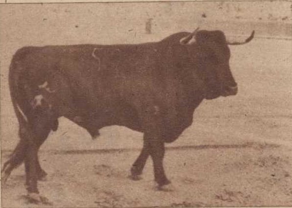 Ganadería Albaserrada tweet media