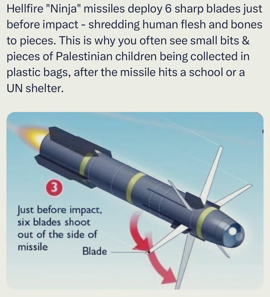 <a href="/infolibnews/">Chris Menahan 🇺🇸</a> It’s children in bits and pieces actually. 

There is no coming back from this for “israel” and its supporters.