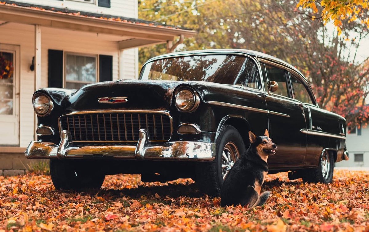 PatD64's tweet image. 💥🏁#FrontendFriday 🏁💥