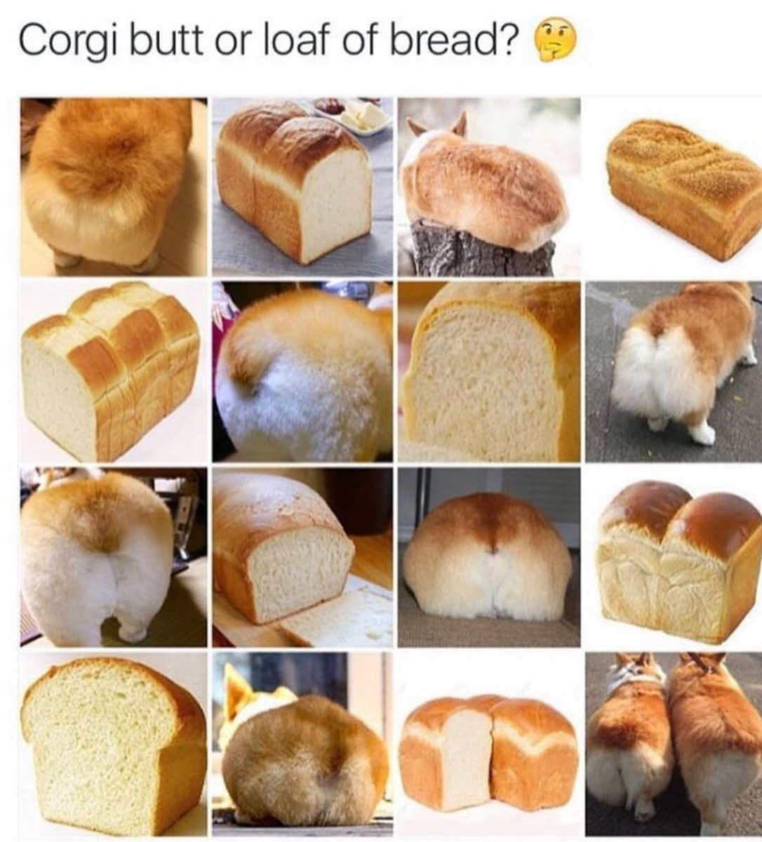 🌜NiteyNight🌛 Resister Sisters and Brothers👍🙏❤️❣️ Joke of The Night For All Resisters ❣️#Resist🔥#VOTEBLUE2025
#TheResistance #RETWEET❤️🇺🇸