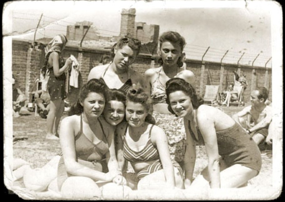 brandloadcom's tweet image. Nazis concentration camps he survived...😅