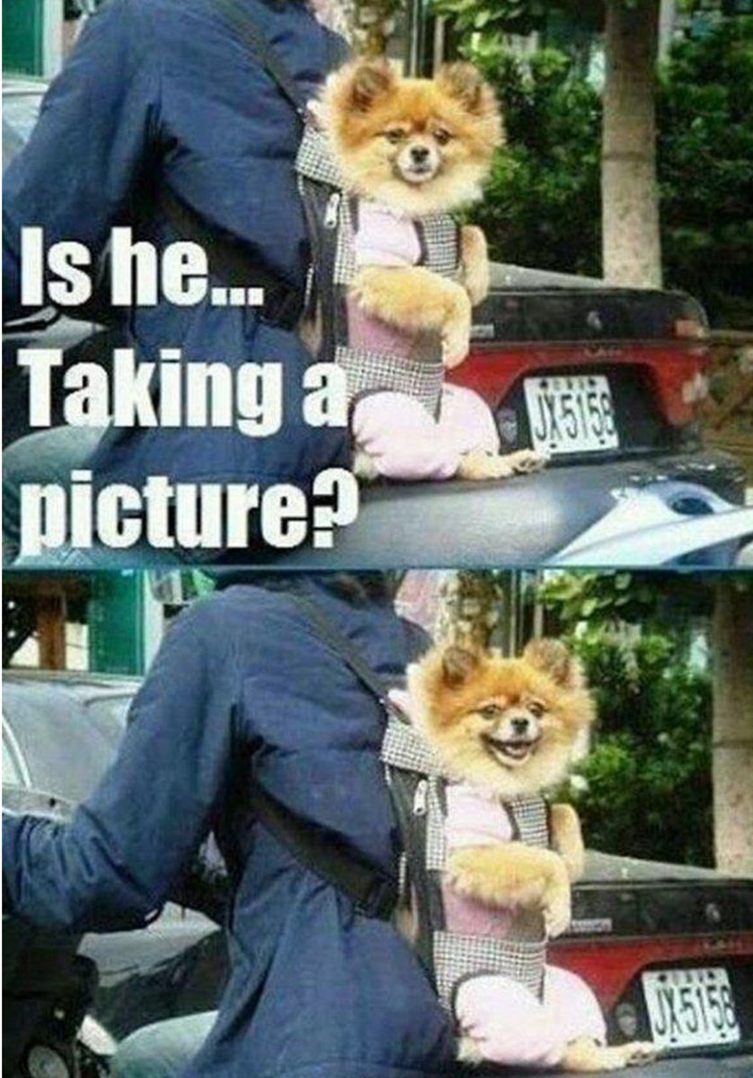 🌜NiteyNight🌛 Resister Sisters and Brothers👍🙏❤️❣️ Joke of The Night For All Resisters ❣️#Resist🔥#VOTEBLUE2025
#TheResistance #RETWEET❤️🇺🇸