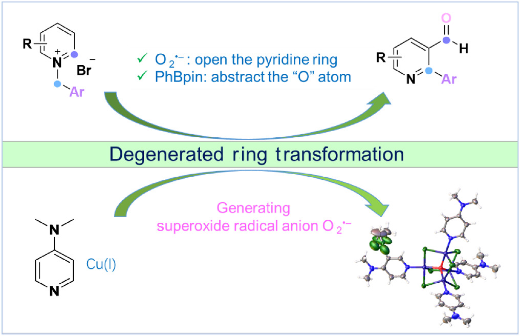 CCSChemistry's tweet image. Superoxide Radical Anion Triggered Dual Functionalization of Pyridine Through Degenerate Ring Transformation chinesechemsoc.org/doi/10.31635/c… 

#chemistry #openaccess #science #chemtwitter