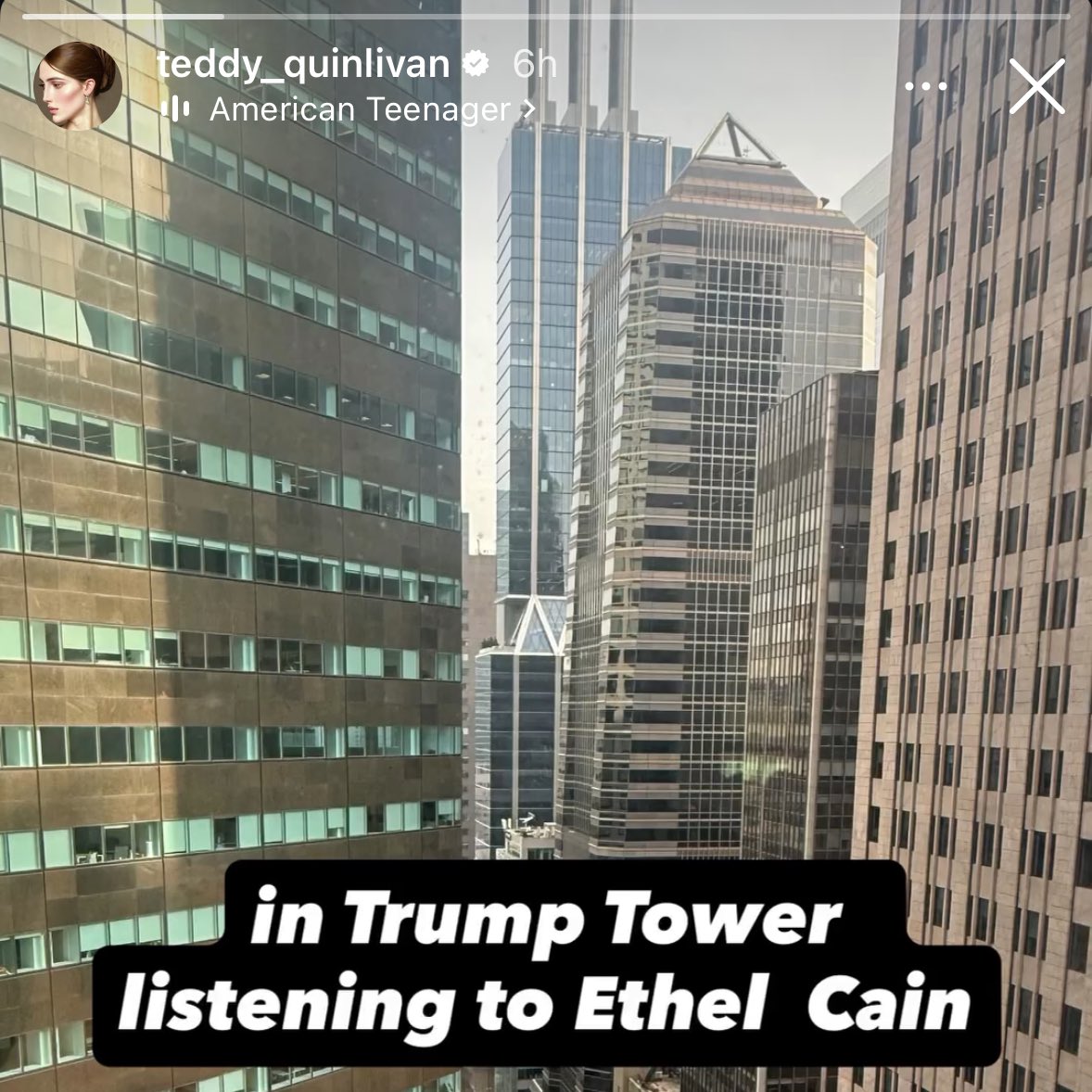 ethel cain's fly tweet media