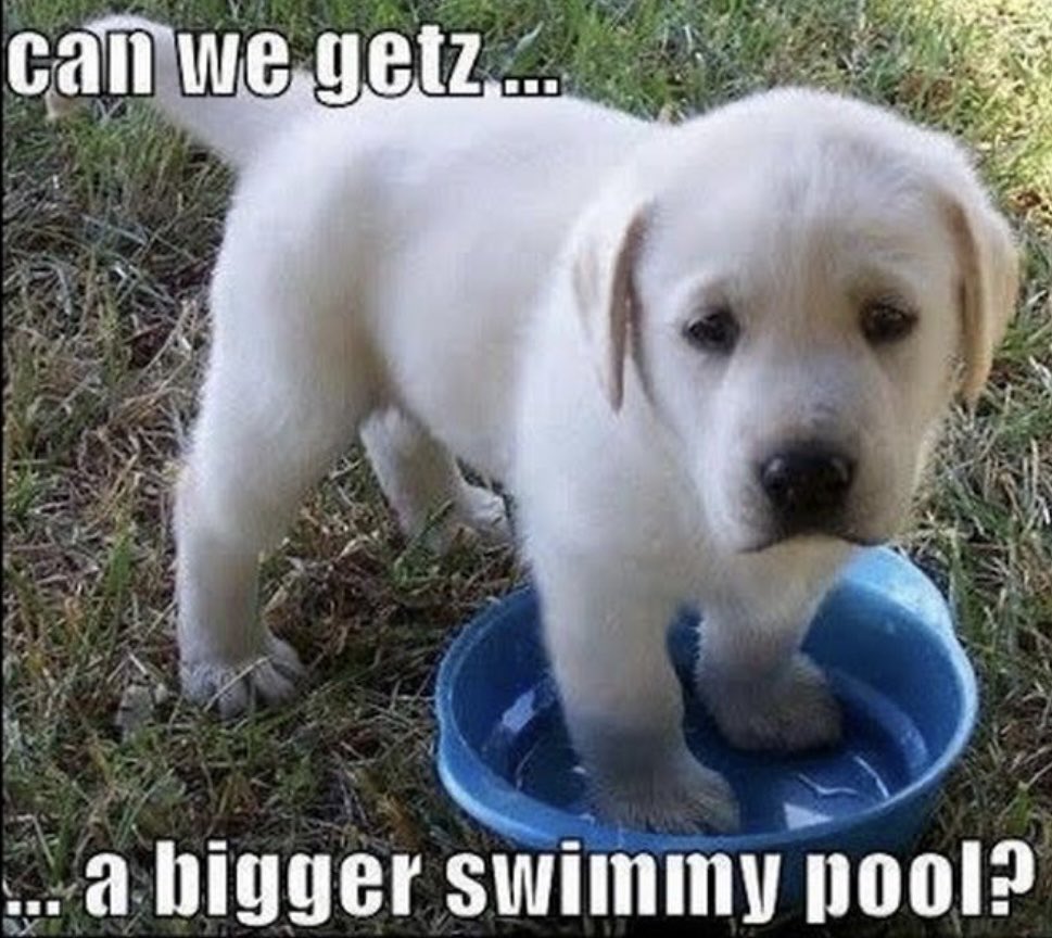 🌜NiteyNight🌛 Resister Sisters and Brothers👍🙏❤️❣️ Joke of The Night For All Resisters ❣️#Resist🔥#VOTEBLUE2025
#TheResistance #RETWEET❤️🇺🇸
2NITE’S FAVORITE!!!!!!!