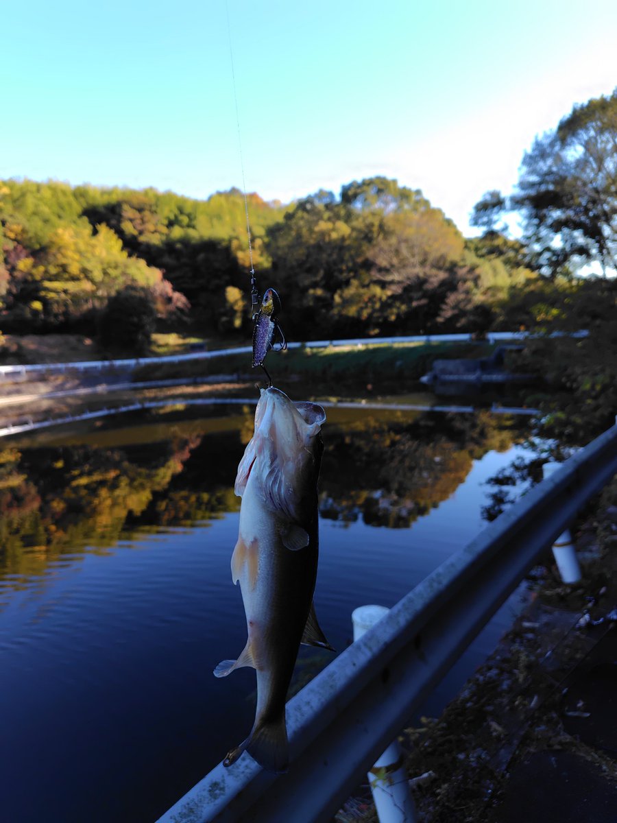 まるりん@レクチャーガイド受付中！ (@anglermarurin) / Posts / X