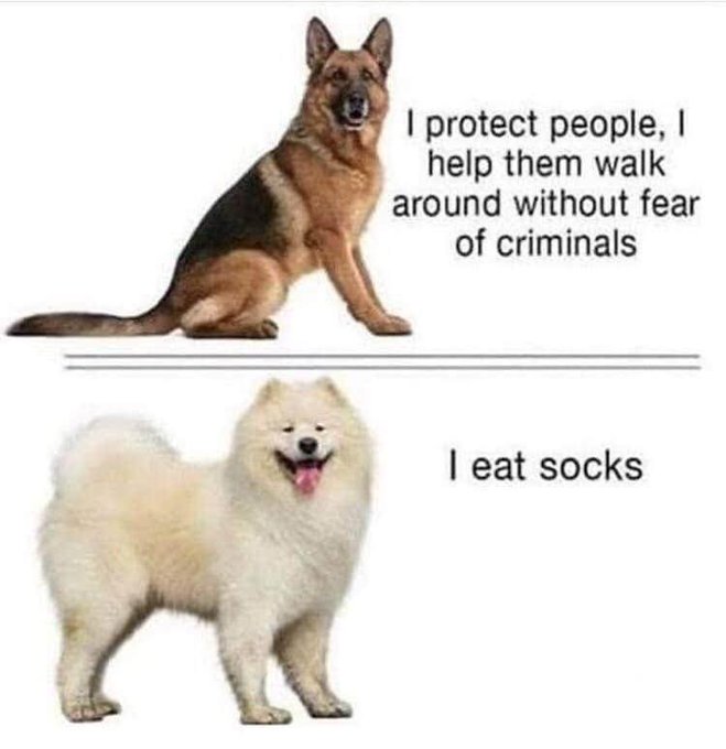 Every breed has a skill: