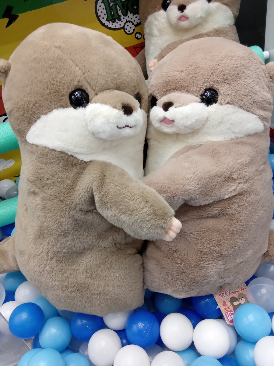 新景品入荷／ くったりカワウソの赤ちゃんハグハグ超超ウルトラBIG