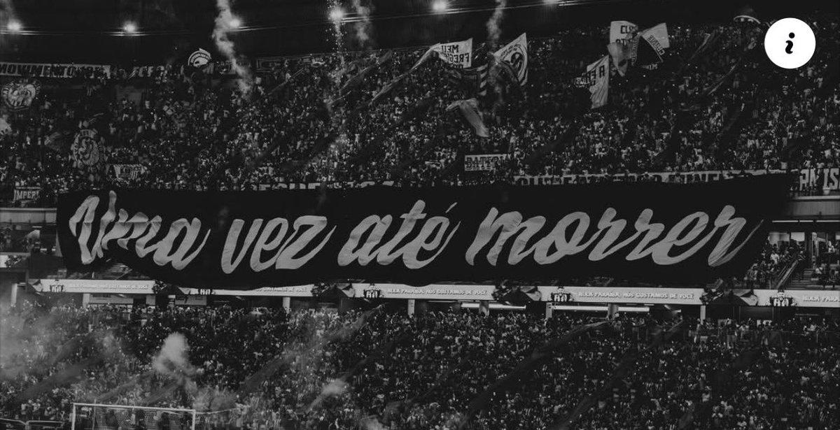 Mulheres em Campo tweet media