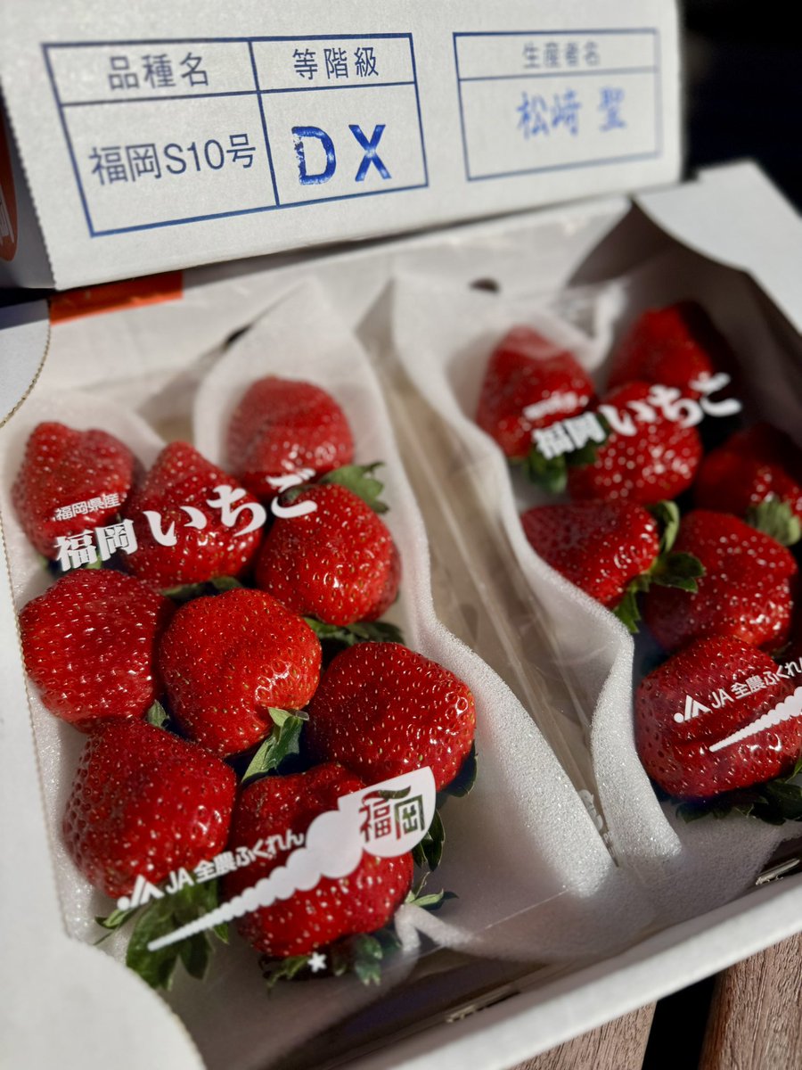 福岡S10号』🍓 これ
