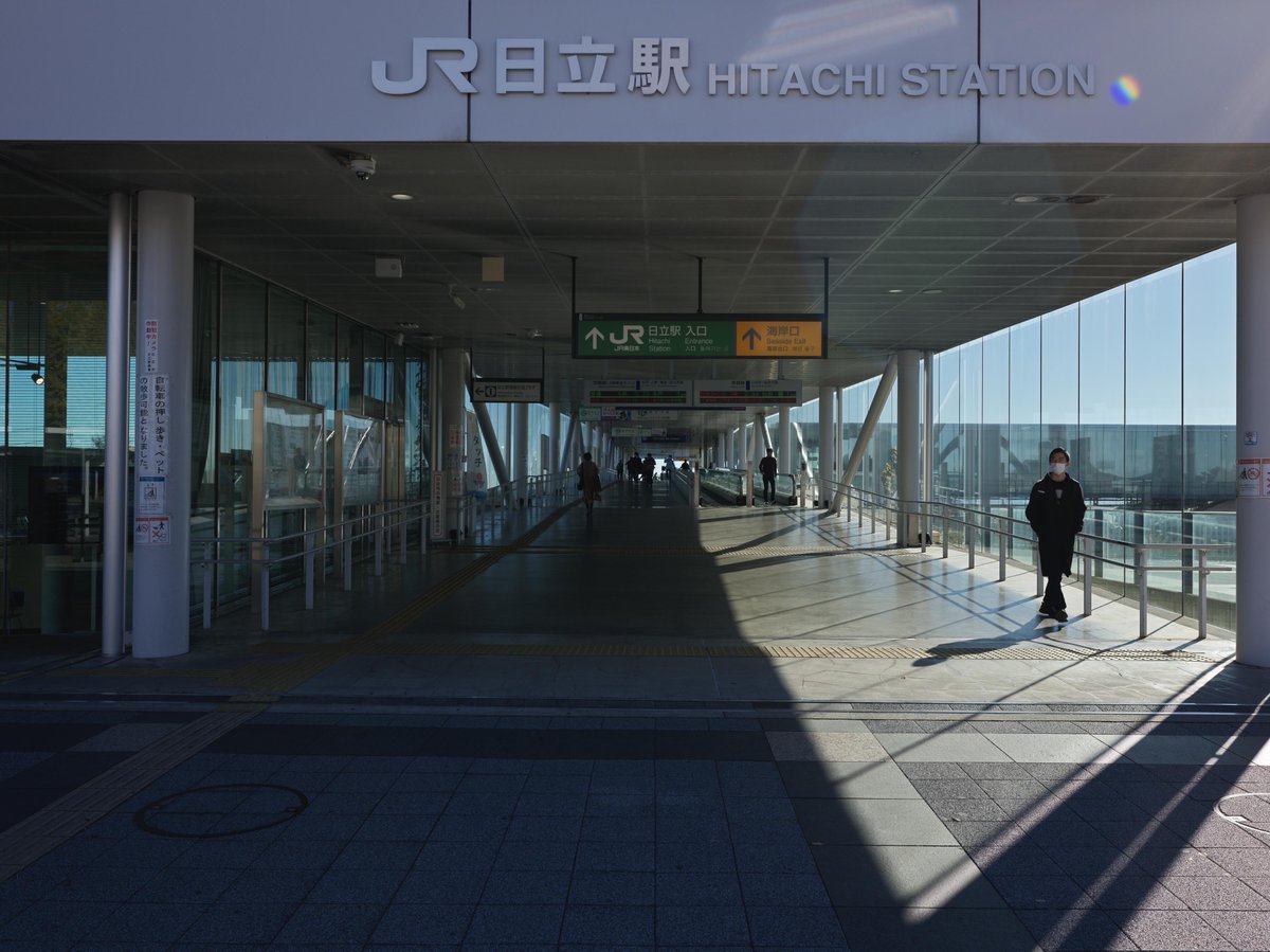 超希少❗️美株❗️アグラオネマ　ゴールデンドラゴン✨ 𝑴𝒊𝒛. (@Torachan__712) / Posts / X