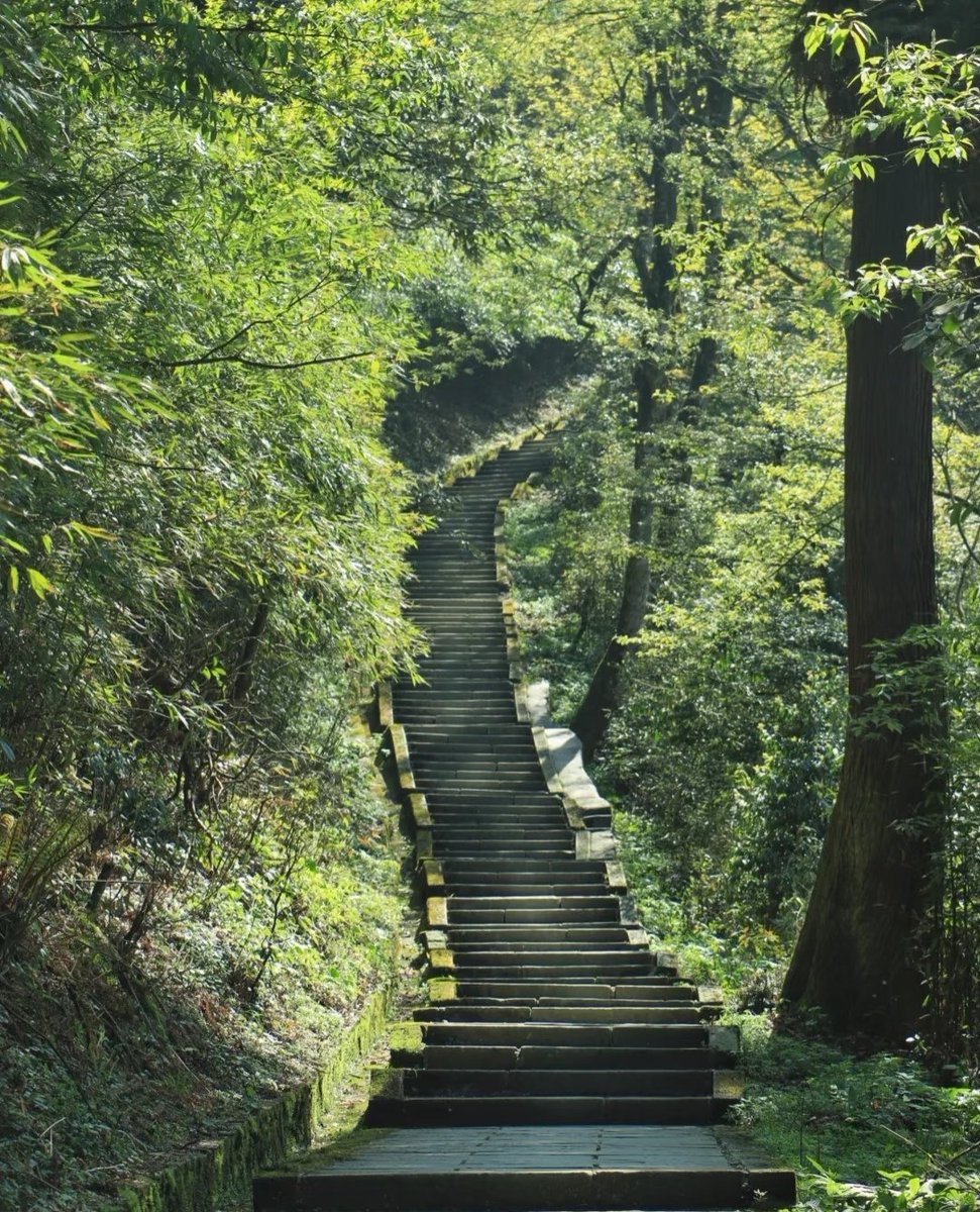 张蔓蔓 tweet media