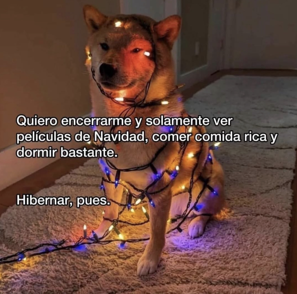 Quiero 🎄