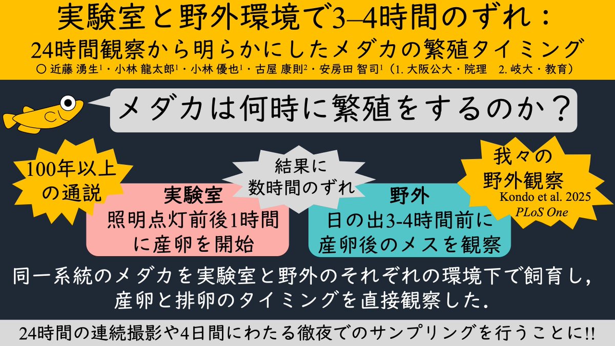 AnimSocLabOMU's tweet photo. Check out our posters at the 44th Meeting of Japan Ethological Society from 22-24 Nov 2025 #fish #medaka #wrasse #goby #日本動物行動学会 #函館 https://t.co/zUu5Mt0Boq
