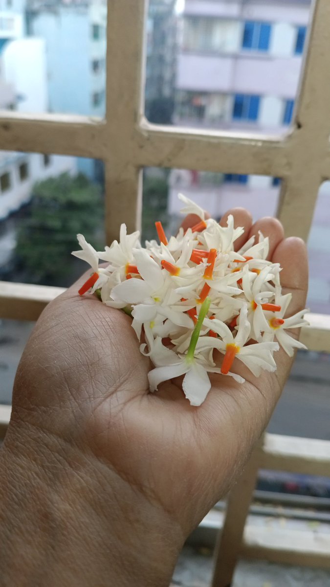 হাজবেন্ডের ভালোবাসা ❤️
মসজিদ থেকে নামাজ পড়ে আসার সময় নিয়ে আসলো ❤️❤️
শুভ সকাল 🌹🌺🍁
