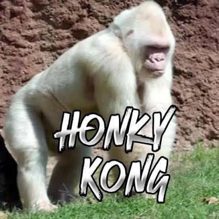 JankyOracle's tweet image. This is who runs this account