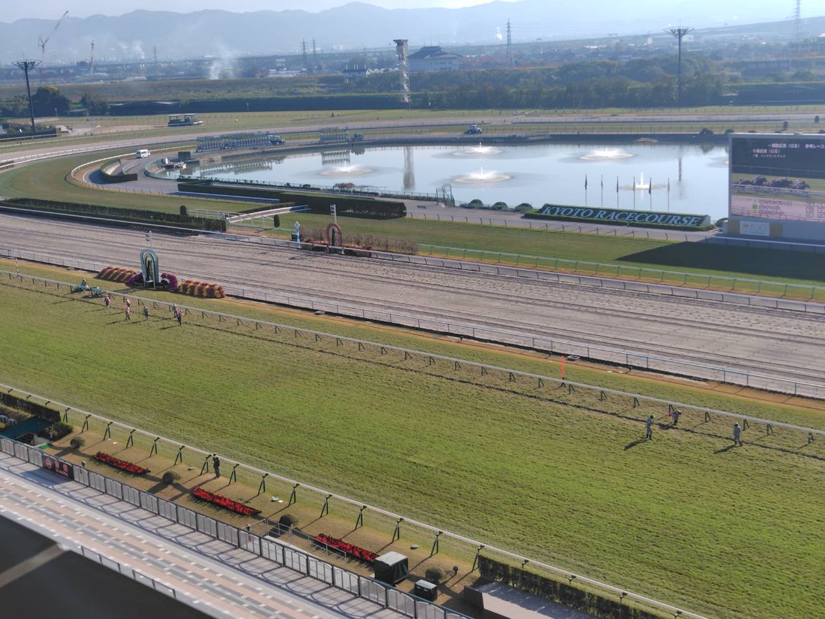 ☆京都の馬場情報(11月22日)☆ 馬場状態：芝 良、ダート 良 クッション